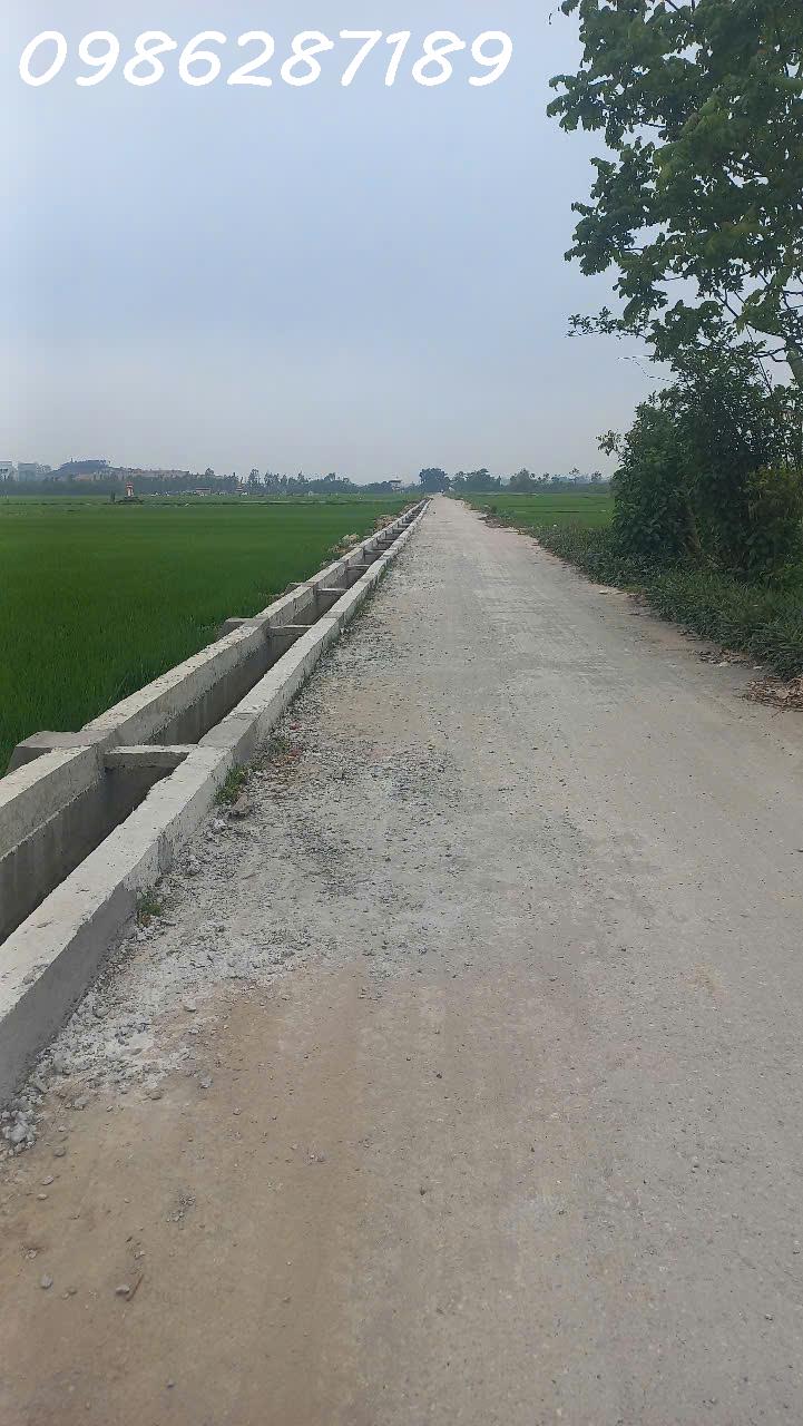 CHÍNH CHỦ CẦN BÁN LÔ ĐẤT 2 MẶT TIỀN ĐẸP THÔN AN TRẠCH, PHÙ LÃNG, QUẾ VÕ, BẮC NINH - Ảnh 2